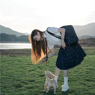 奇犬良缘