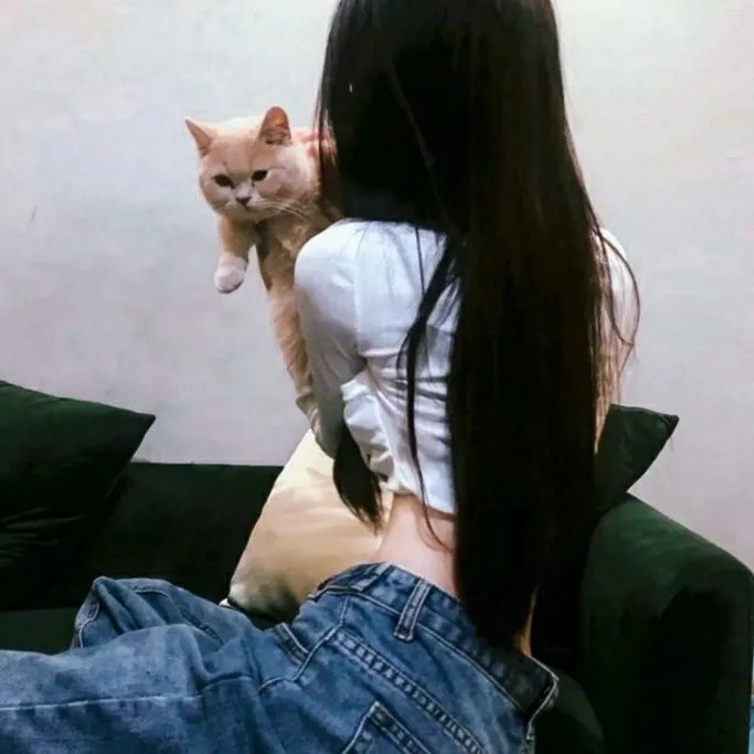 肥猫正传粤语
